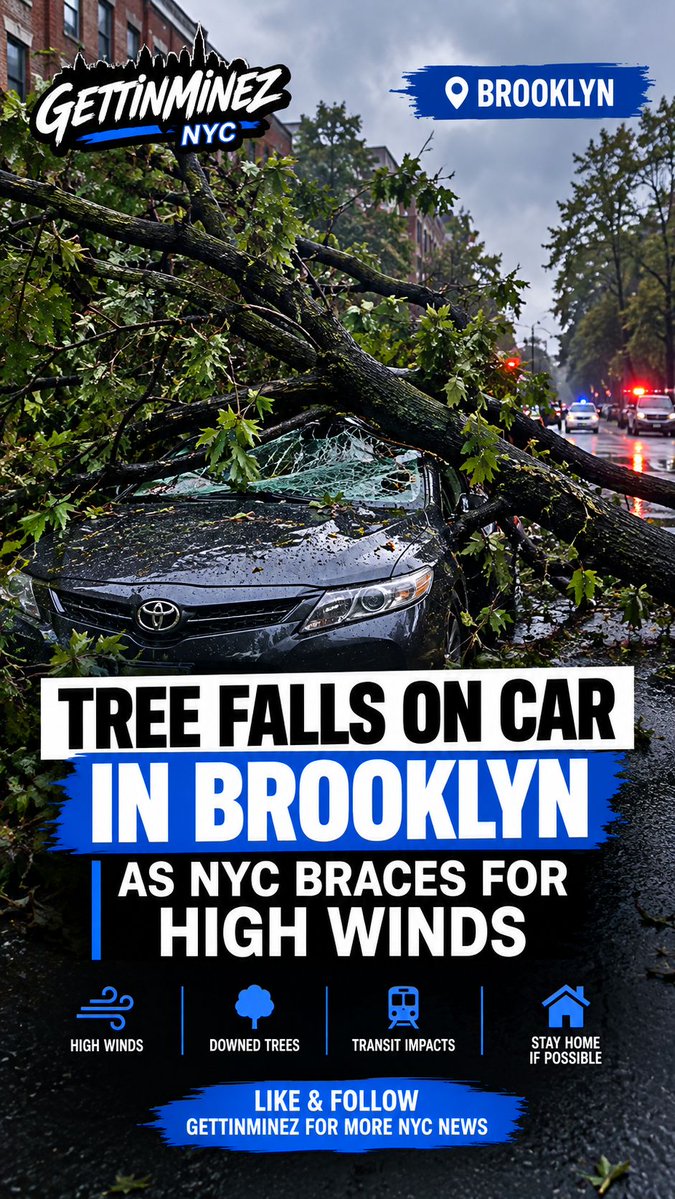 GettinMinez_NYC's tweet photo. High winds across NYC, officials prepared for downed trees and transit impacts. The MTA has crews and equipment ready to respond.
#GettinMinez #GetUrz #NYC #Brooklyn #NorEaster https://t.co/v0Kr3Q5XxM