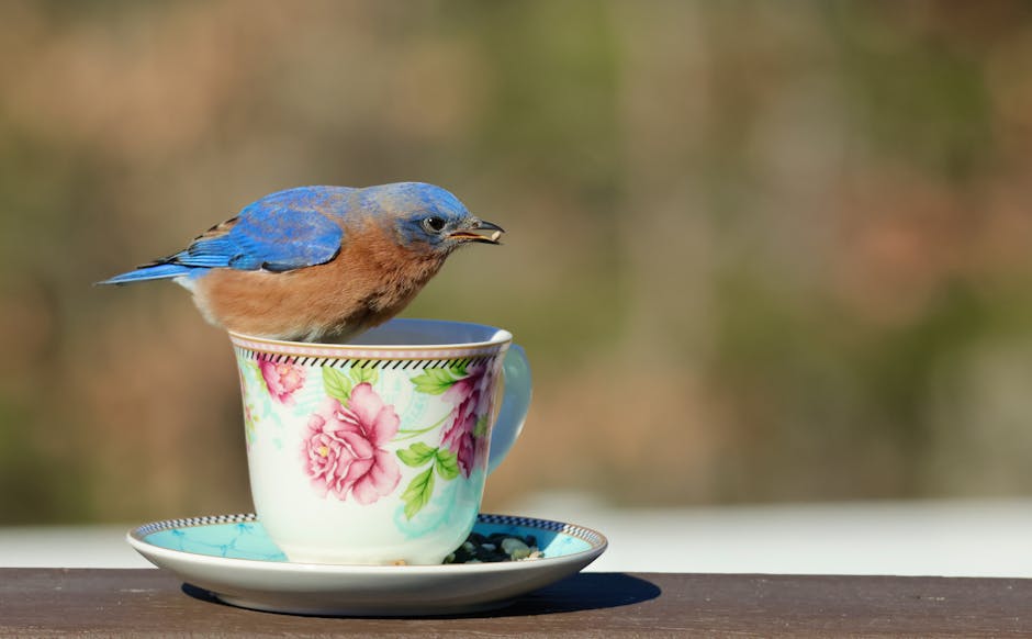 NoahMorgan6il2's tweet photo. يجرب الفنان لخلق بصرية وجذابة. الضوء والظل والتباين تأثيرات قوية، مما يجعل اللوحة نابضة بالحياة matha luelf https://t.co/anLTaZ8cM2