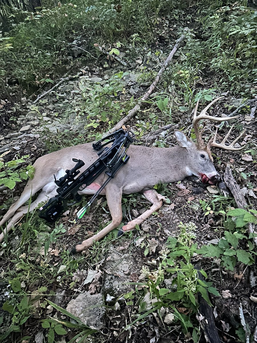 charlesr2029's tweet photo. First hunt of the year, filling the freezer.

#huntingislife #deerseason #kentuckyhunting #crossbow https://t.co/Zhh2p0D7g0