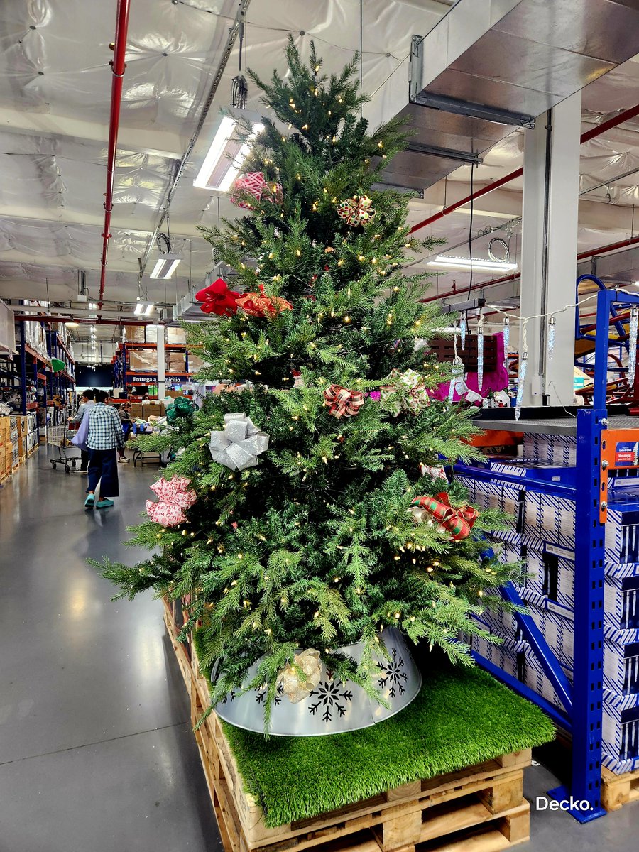 Frankzm's tweet photo. Aprovecho y les deseo una feliz navidad y un prospero año 2027. https://t.co/7bFGMhOUfM