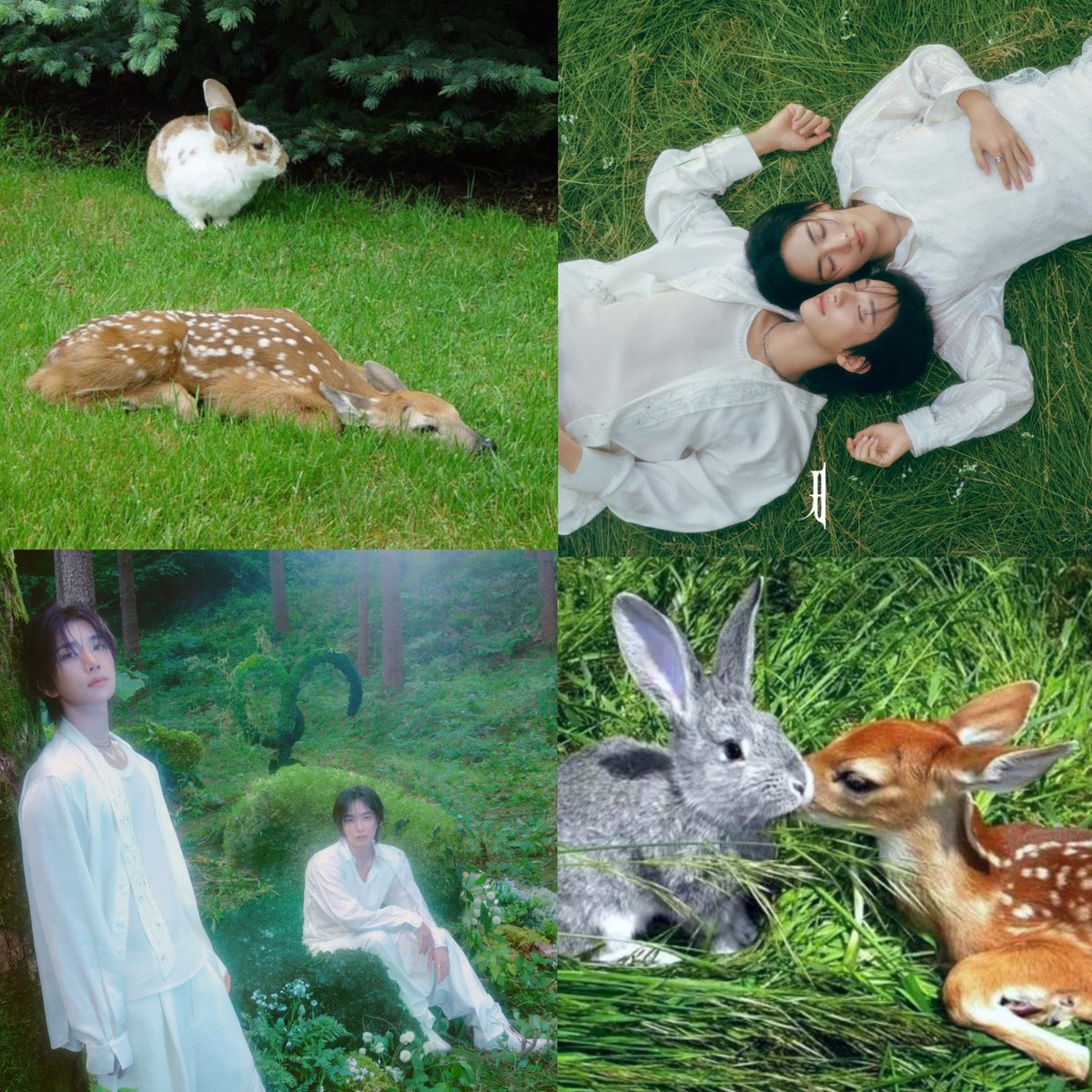 deergirlshua's tweet photo. deerbunny convention #JIHAN https://t.co/Yvu2reDjLW