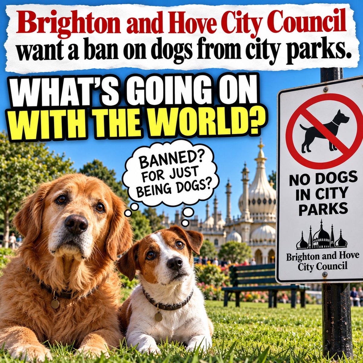 SallyRaynor1's tweet photo. @BrightonHoveCC https://t.co/sMspZLVHXS