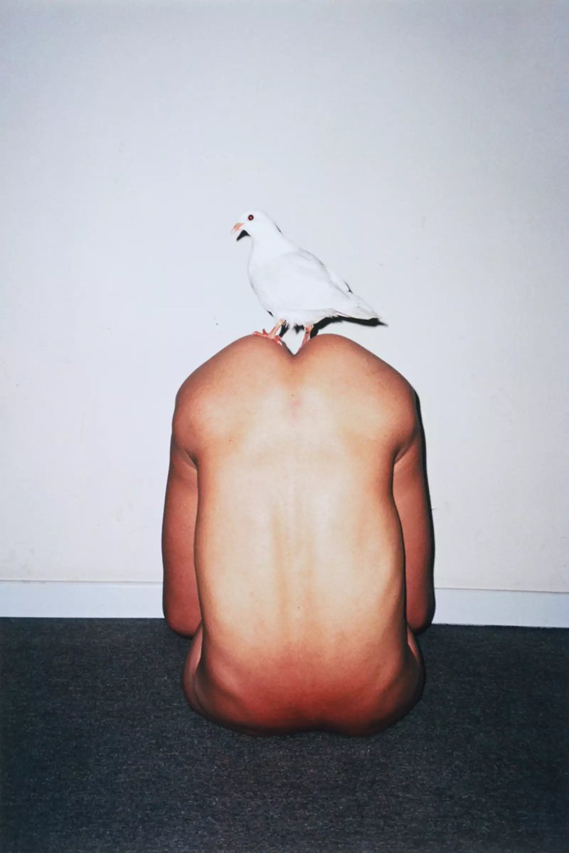 saintsoftness's tweet photo. My students start Berger’s “Ways of Seeing” Tuesday and in addition to the examples in Chapters 1-2 he includes, I use a lot of Ren Hang photographs as a case study. I think some of you might like his work a lot— I hope it continues to gain momentum in museums and galleries. https://t.co/HkvIO4VkU2