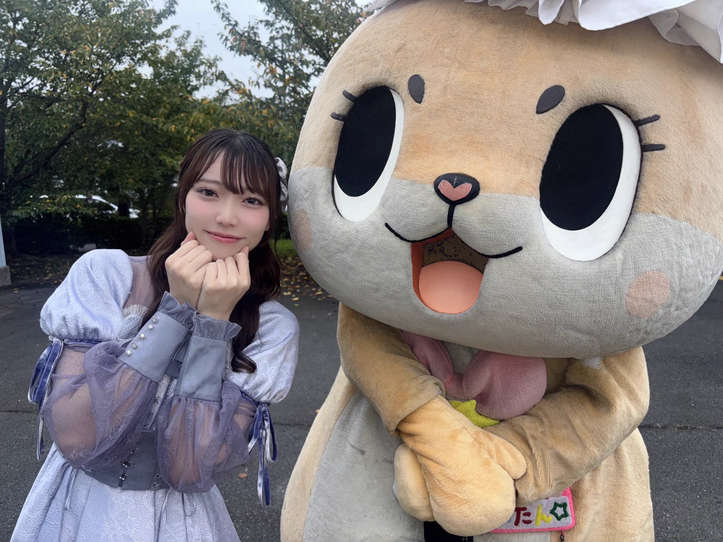 Replies by ちぃたん☆／Chiitan (@chiitan7407) / X