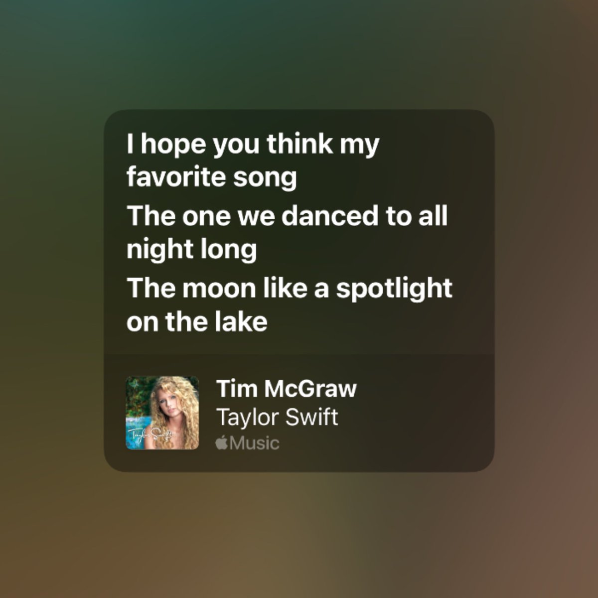 comebacktomeeli's tweet photo. this isn’t “folklore storytelling” it’s TAYLOR SWIFT storytelling and she’s been doing it since tim mcgraw came out in 2006 https://t.co/vXVza9w14N