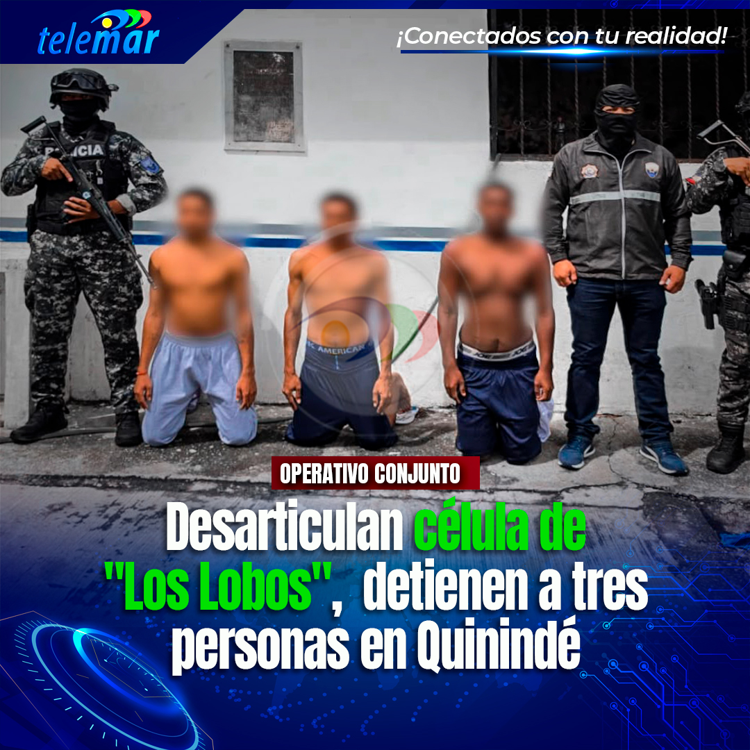 Telemartv23's tweet photo. 🚨#Esmeraldas |  La Policía Nacional y la Fiscalía desarticulan banda criminal en Quinindé vinculada a Los Lobos. En la operación policial detuvieron a dos adultos con antecedentes y a un menor, decomisando teléfonos y ropa.
👉🅻🅾🆂 🅳🅴🆃🅰🅻🅻🅴🆂: 🔗 https://t.co/IZXSMzkoJM https://t.co/TtBBGu2eXN