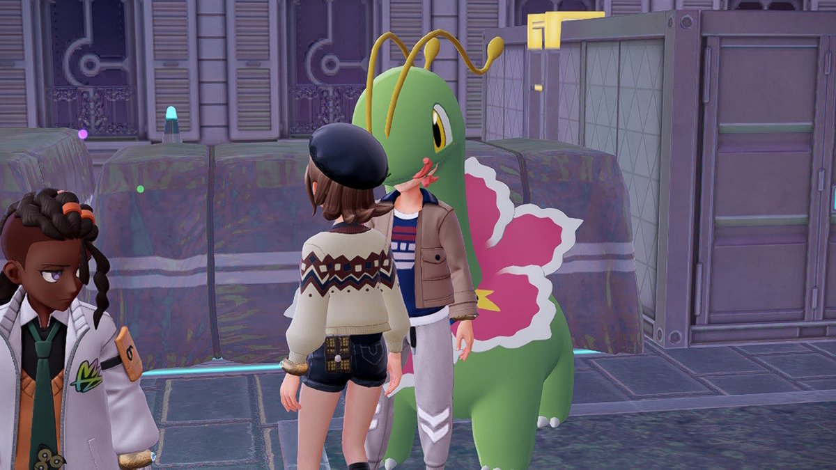 amnesia_poke's tweet photo. 昨日今日のガイとうちのメガニウム https://t.co/it2YsEVmyk