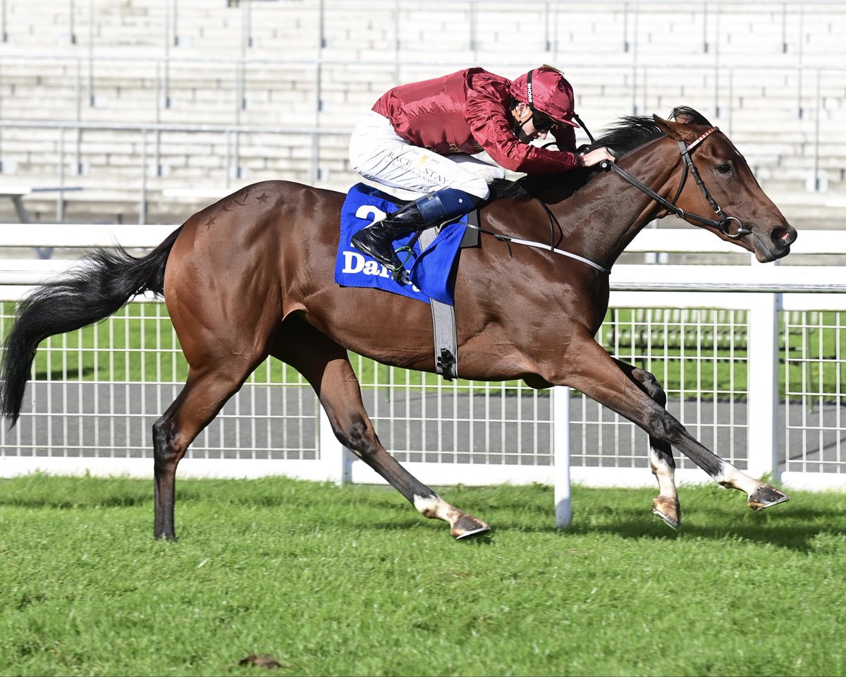 Shadwell_EU's tweet photo. 👑 #BAAEED’𝙨 𝘾𝙐𝙍𝙍𝘼𝘾𝙇𝙊𝙀 🏆🇮🇪

🗣️ “Hopefully she'll go on, she has the size and scope to improve and be a really exciting three-year-old… She strikes me as a Guineas filly...” - @JohnnyMurtagh, trainer 🙌🔵⚪️ https://t.co/k4aEf38owm