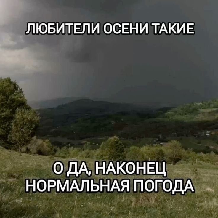 l1harii's tweet photo. похолодало https://t.co/Gt2l4HdC4L