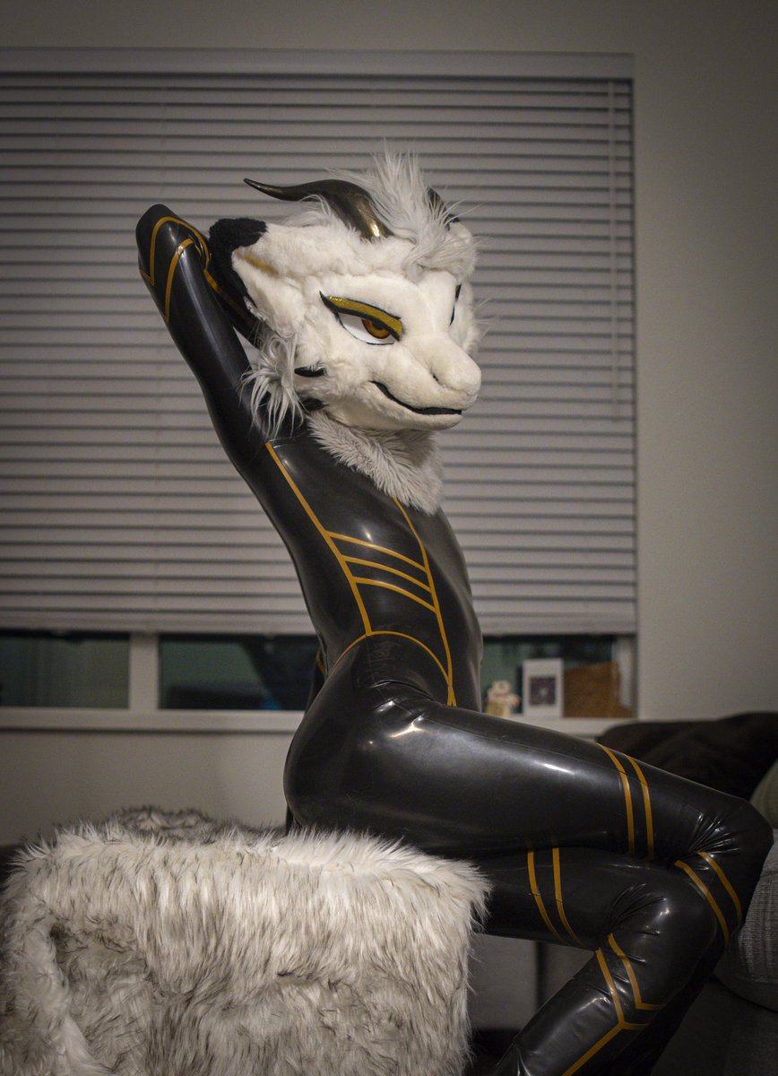 KyusoWhitescale's tweet photo. I think my oomfs like my latex almost as much as I do 🤍🤍 https://t.co/I0itr9jfEx
