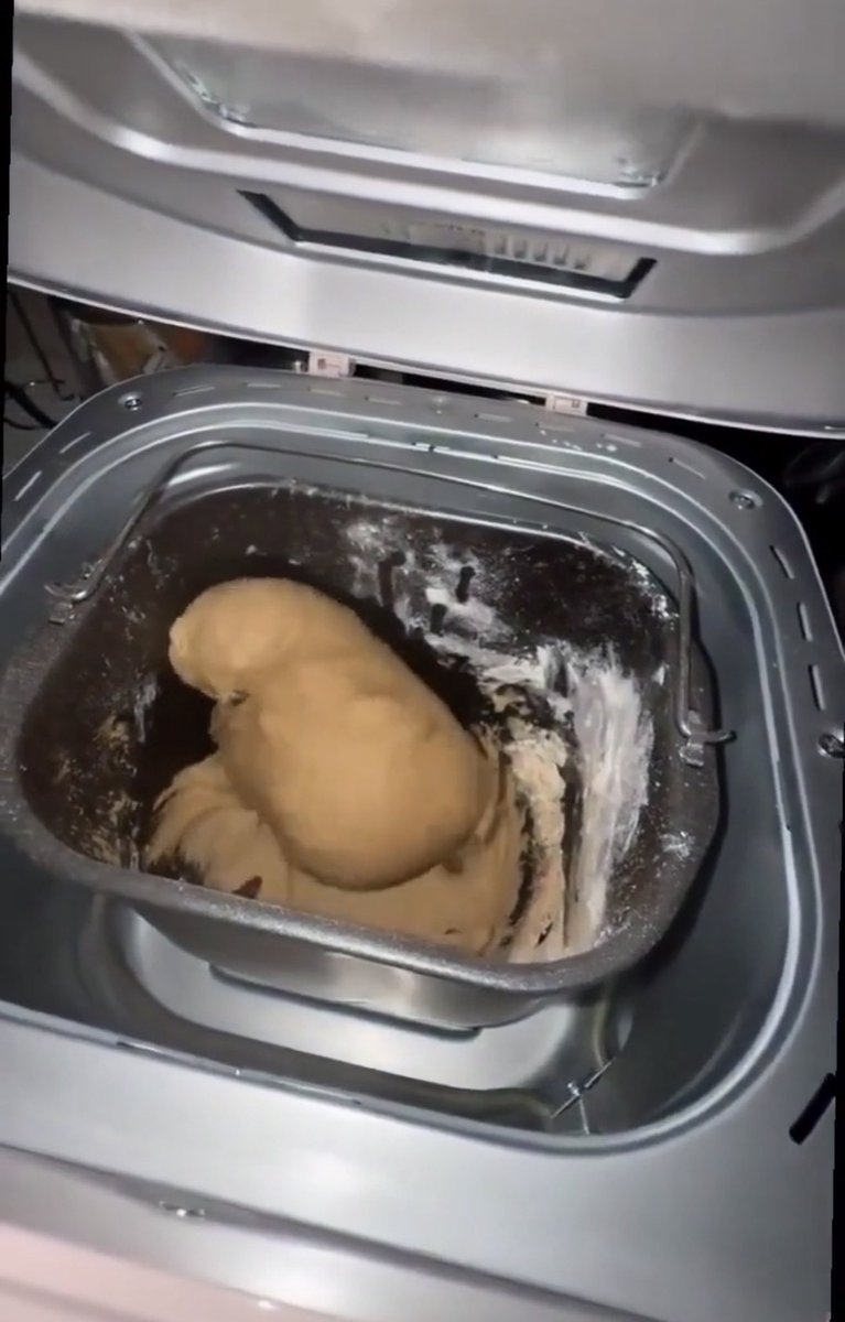 Mesotpit's tweet photo. My cinnamon raisin bread dough is absolutely out of control right now 😭🍞✨ She’s rising, thriving, doing the absolute most… and honestly I’ve never been prouder 🥹 https://t.co/S1Wiimzph7