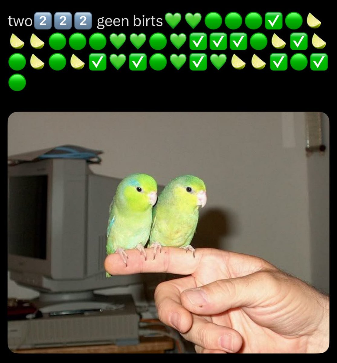 RandomSlop's tweet photo. https://t.co/mDE3G2rWZO