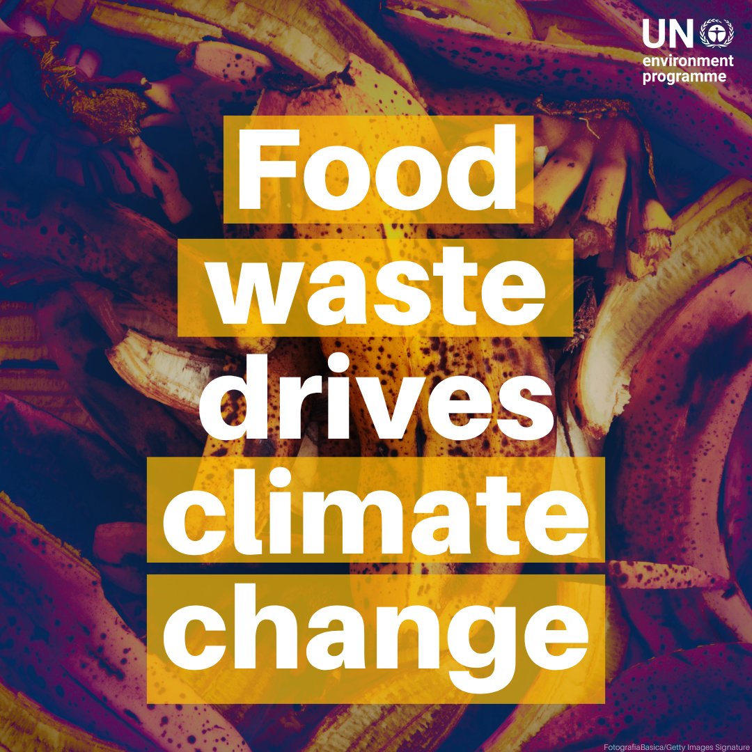 UNEP tweet picture