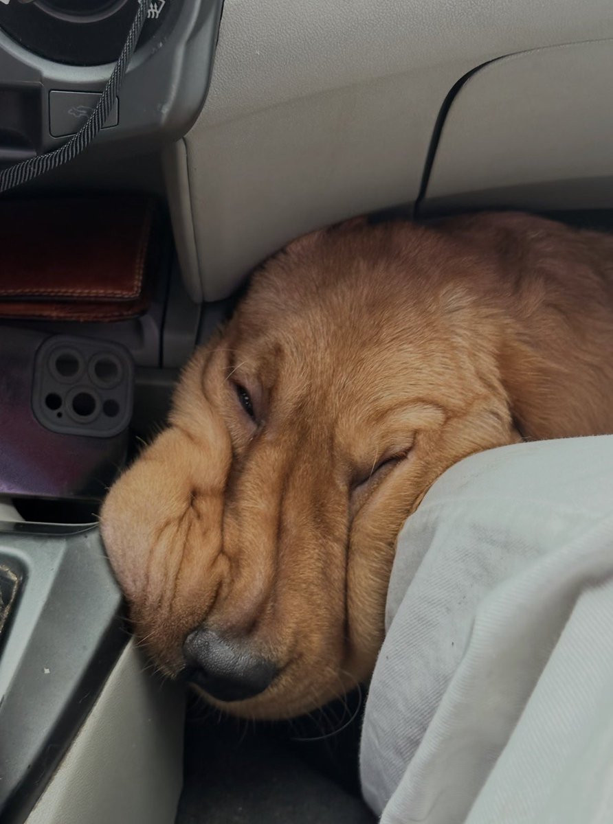 twaniimals's tweet photo. https://t.co/F77NWzTeF4