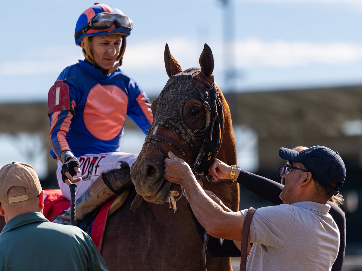 agentes305's tweet photo. PLUTARCH 
(3yoC Into Mischief @spendthriftfarm  )

Winner: Bourbon Flight Stakes
09-26-2026 - Churchill Downs
106 Beyer Speed Figure 

J: @jockeyfarrieta  
T: Bob Baffert

Photos: @mmae_photos  Agentes 305 https://t.co/5jFKZBv4ZM