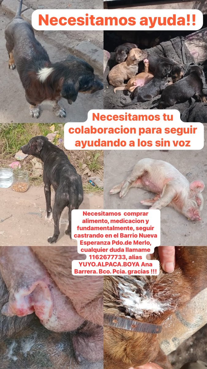 patripeyrou's tweet photo. Difundimos https://t.co/jRzS3UAUFD