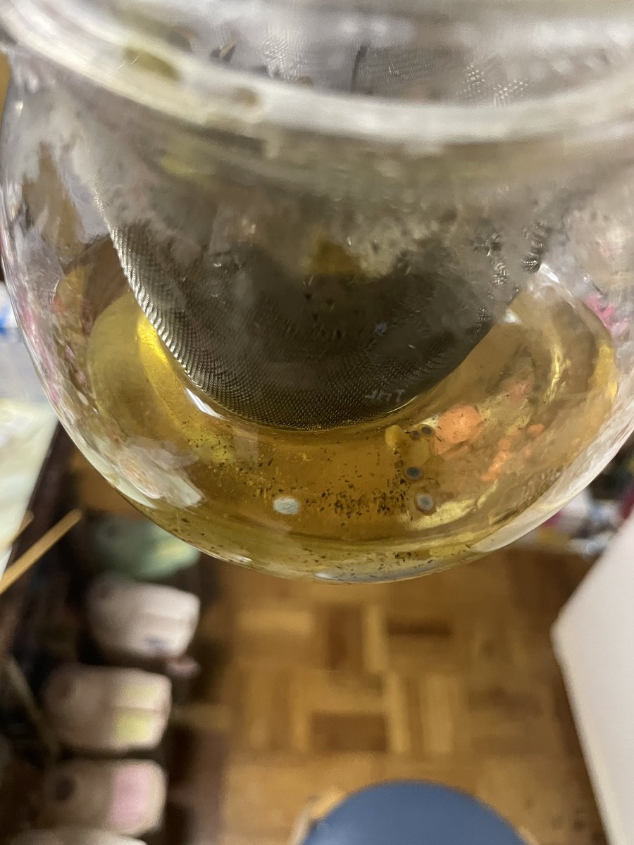 Emperorshinya's tweet photo. ティー変な味すんな〜と思ったらえぐいカビてた https://t.co/AWrRX72vjP