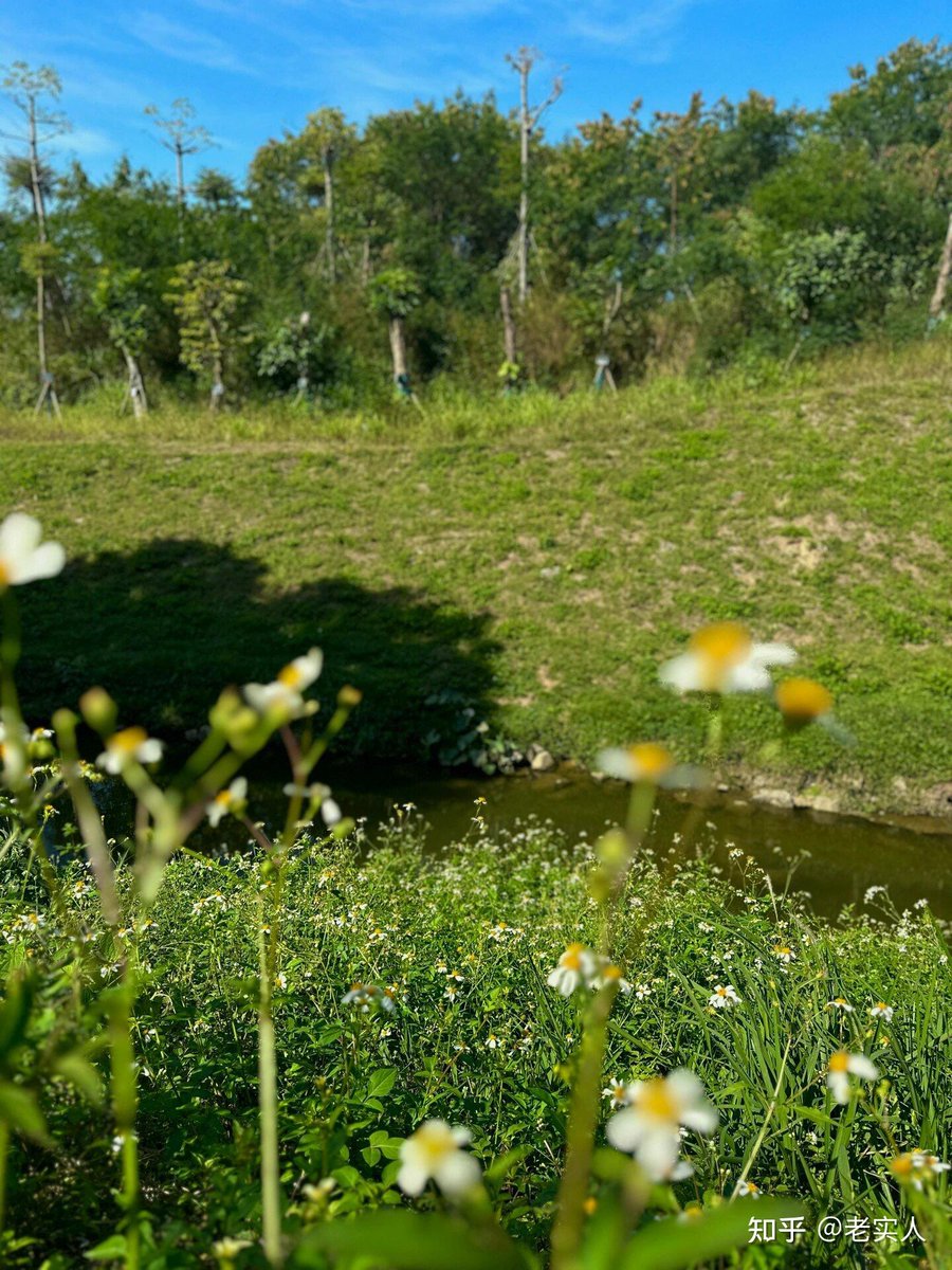 ulfa_army_ot7's tweet photo. In the beautiful Chenzhou, a sudden breeze gently sways the mat grass, adding a touch of quiet warmth to the tranquil small town.， https://t.co/UXjOEiY8Sz