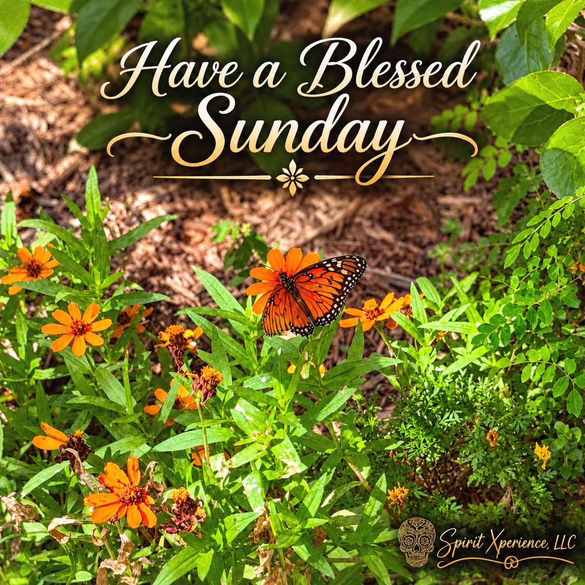 SpiritXperience's tweet photo. 🦋Have a Blessed Sunday🦋

💫Spirit Xperience, LLC offers Immersive Interactive Paranormal Walking Ghost Tours and Paranormal Investigations in Savannah, GA. Please follow the links on our Linktree to learn more about us:

🔗 🌲 https://t.co/1tjiibQs5f 🔗🌲 https://t.co/PM1OZ4ykB4
