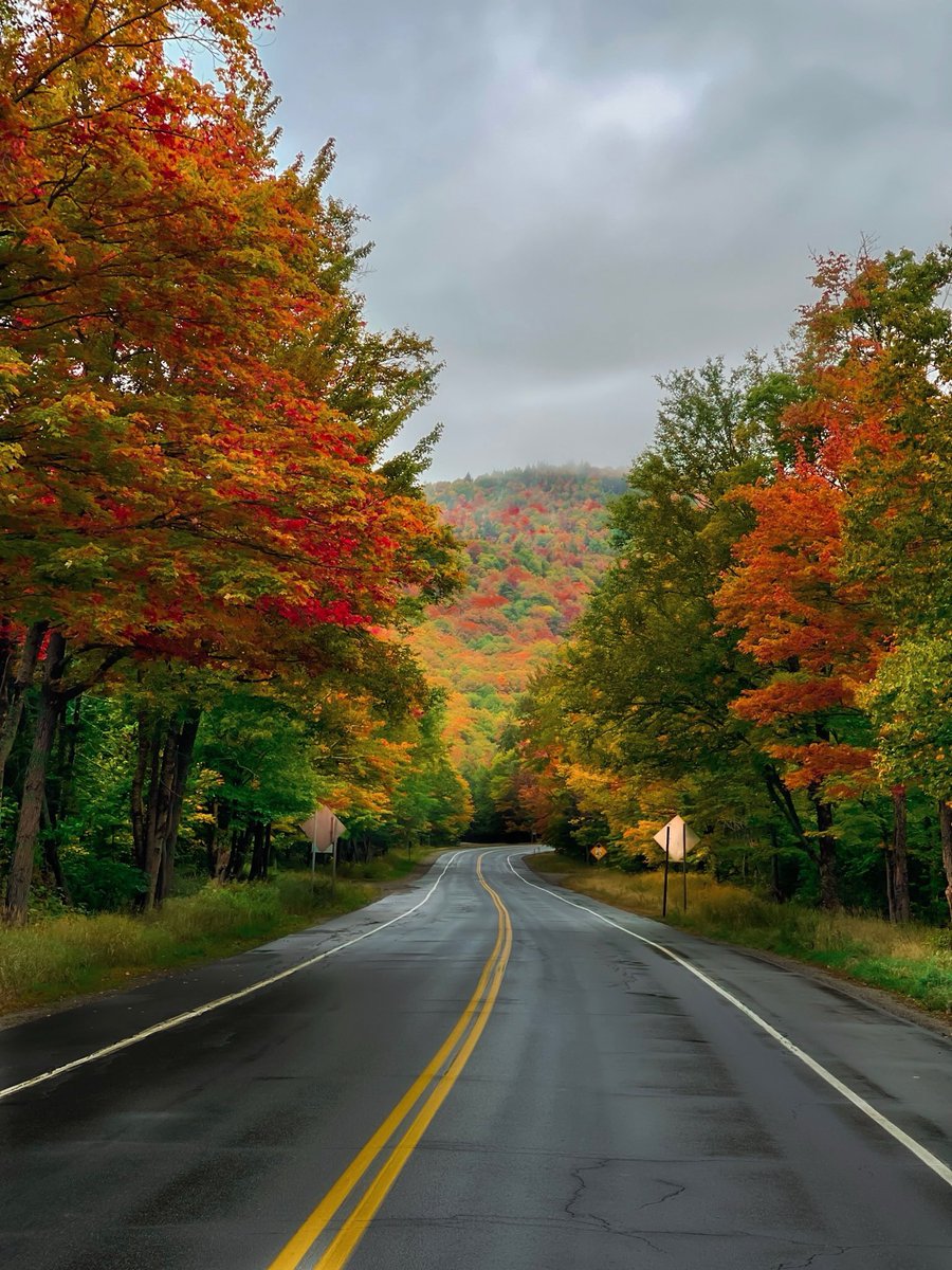 prep_propaganda's tweet photo. Fall around New England https://t.co/ZcRbhFBcPt
