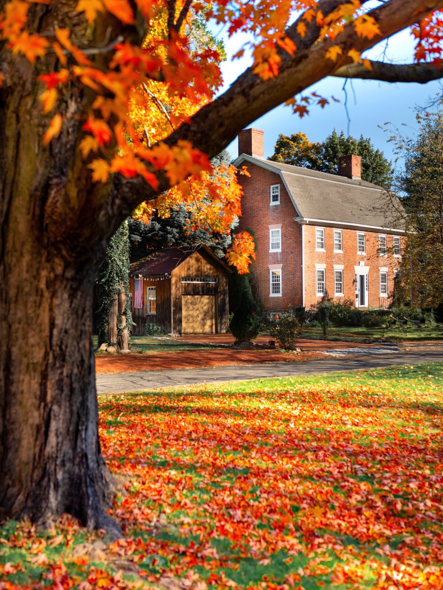 prep_propaganda's tweet photo. Fall around New England https://t.co/ZcRbhFBcPt