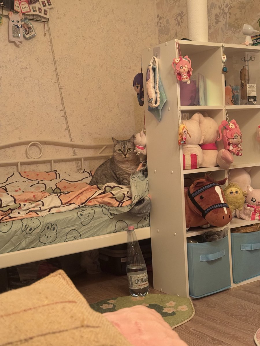 yui_yu06's tweet photo. Тупое создание https://t.co/BBQcBtpCKr