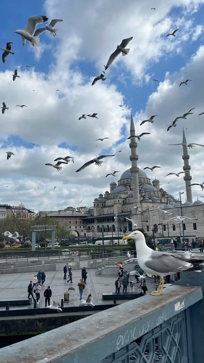 serkanali34ist's tweet photo. İyi akşamlar https://t.co/a7BcRFOYJU