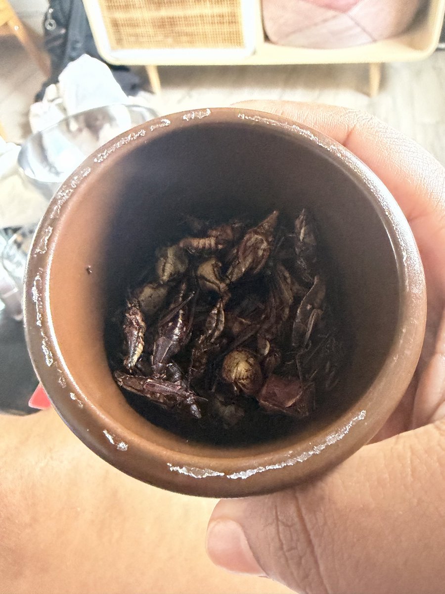 cielobruce's tweet photo. Unos mezcalitos con unos chapulines con limón https://t.co/3deR3TTuJq