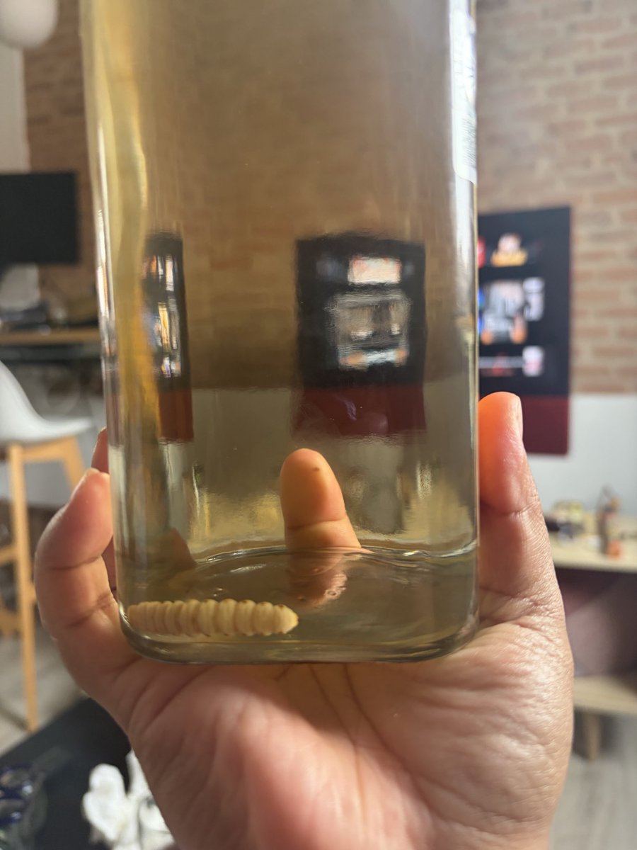cielobruce's tweet photo. Unos mezcalitos con unos chapulines con limón https://t.co/3deR3TTuJq