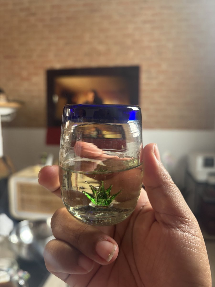 cielobruce's tweet photo. Unos mezcalitos con unos chapulines con limón https://t.co/3deR3TTuJq