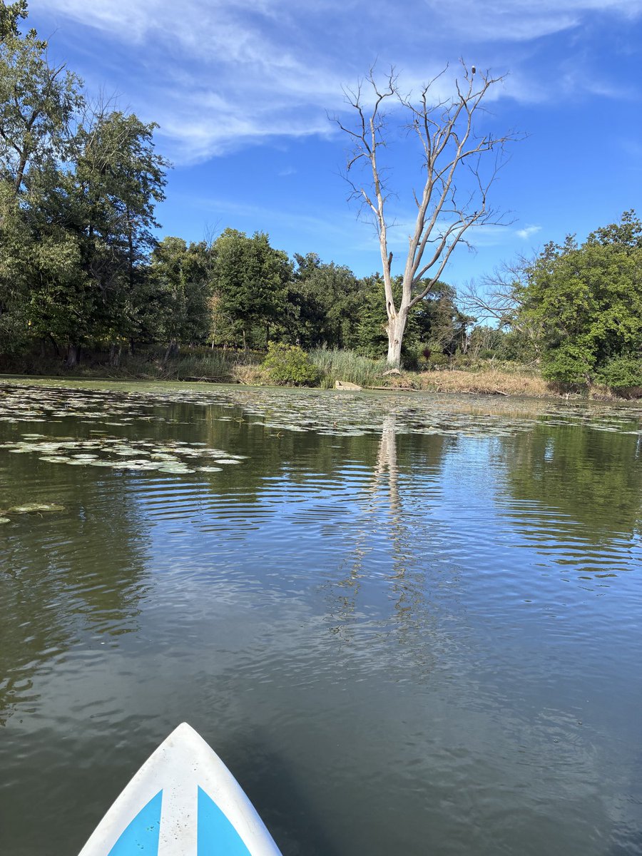 WestridgeWealth's tweet photo. Get out there! Get on the water and find some wildlife for Sunday Funday! #GetOutside #SundayMorning #SundayMotivation #SundayVibes
#supconnect #SUP https://t.co/DD1P6jx1s8