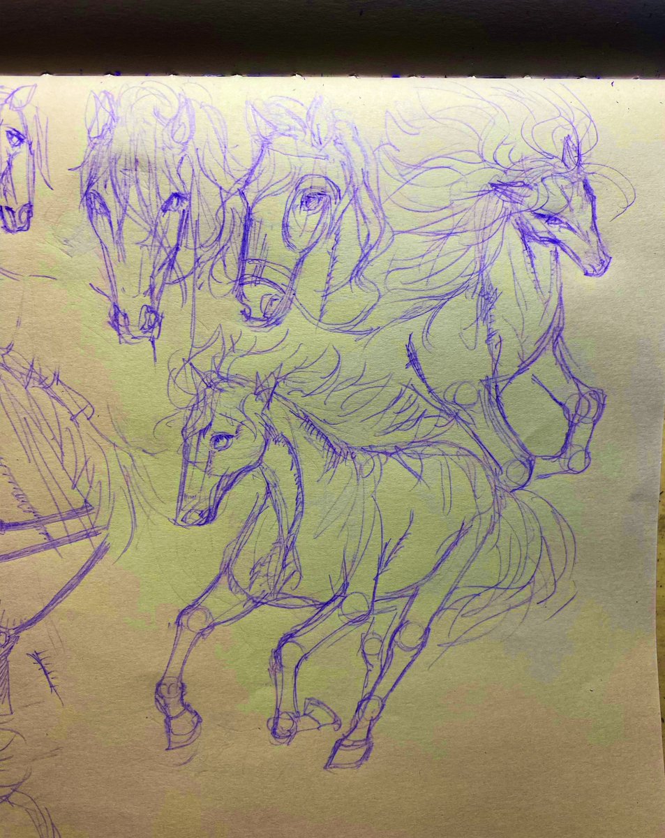 0rcangel's tweet photo. 🐴ﾋﾋｰﾝ。馬の造形美が描きたい https://t.co/oUCW3hyPZH