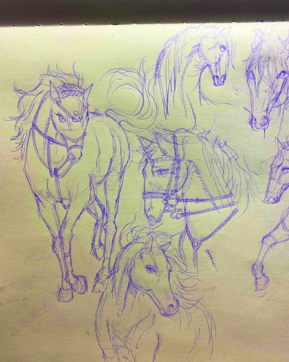 0rcangel's tweet photo. 🐴ﾋﾋｰﾝ。馬の造形美が描きたい https://t.co/oUCW3hyPZH