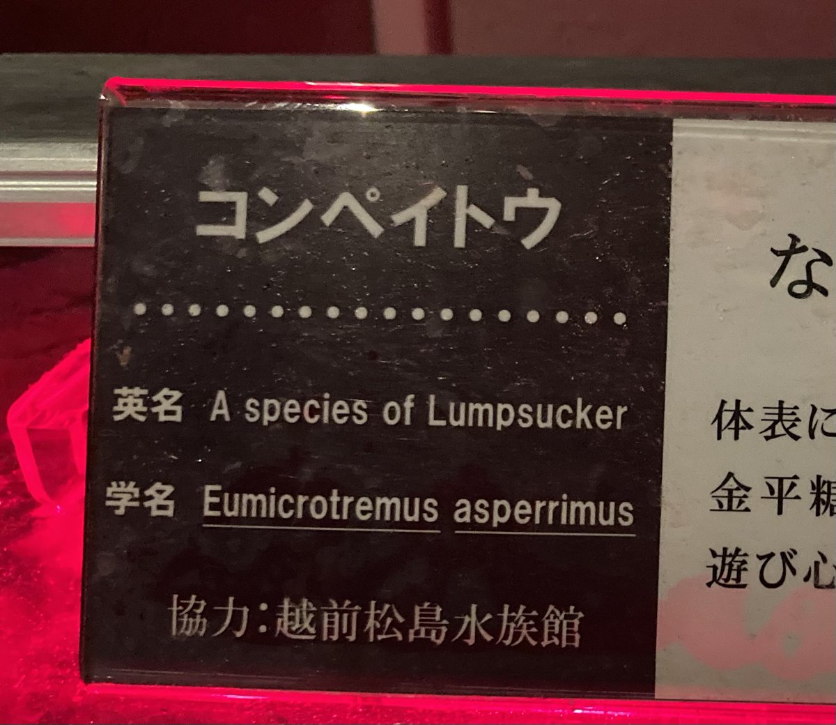 mizore_umus's tweet photo. ✳️🧼 https://t.co/9pz1b3bjdN