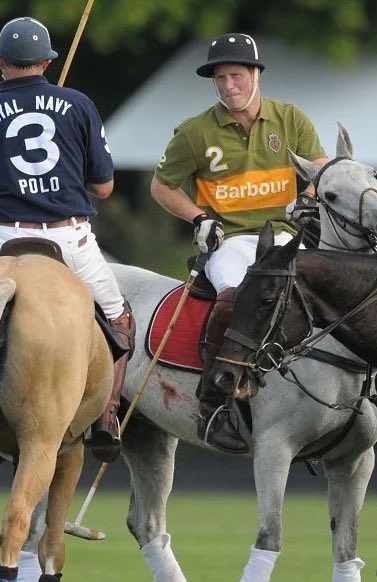 CiciTee1's tweet photo. When bunker bitch Prince Harry was losing polo he stabbed his pregnant pony with his spurs. The pony had to be euthanized later.
He treats Diana the same way. Stabbing her, her legacy and her name for pleasure. Twisted little
Monster. https://t.co/3n9Dz8gocv