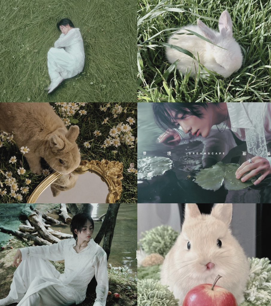 hanniezones's tweet photo. belated international rabbit day 🤍🐰 #정한 https://t.co/wLiQY7v2gT