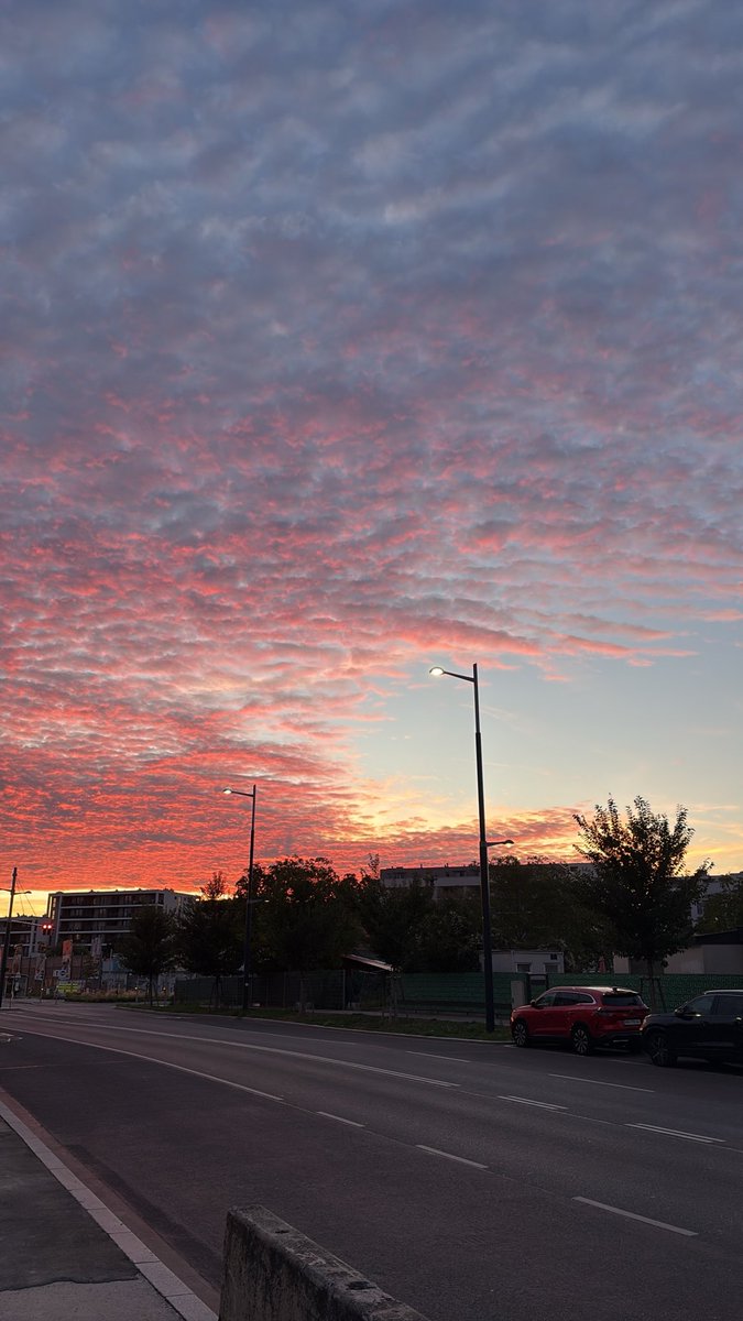 FthAyz_'s tweet photo. Sunset walk is underrated https://t.co/Y6199sLzHF
