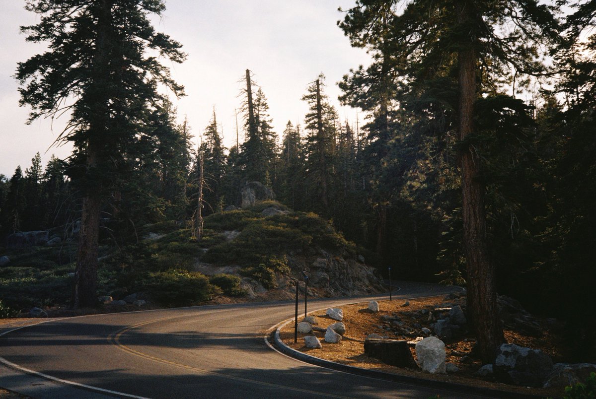 michaelboegl's tweet photo. Yosemite on 35mm film 🎞️ https://t.co/nrKs1g3UED