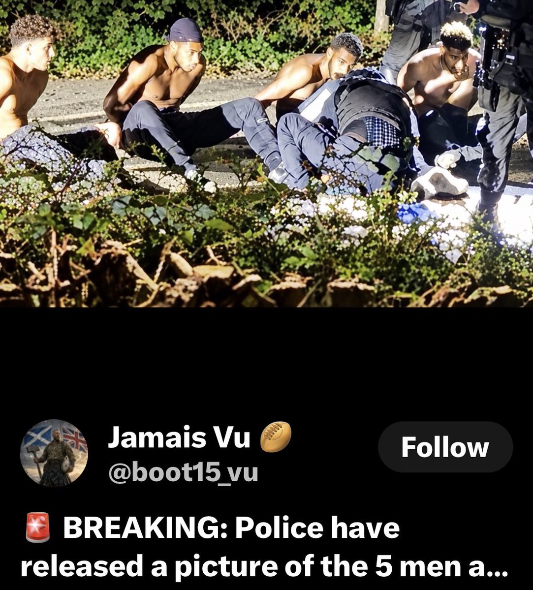 DanielCreiowvo's tweet photo. @TheRealJamieKay @Jona86911 @AlbiEternus the hate is fucking earned https://t.co/qLvG2WRWqP
