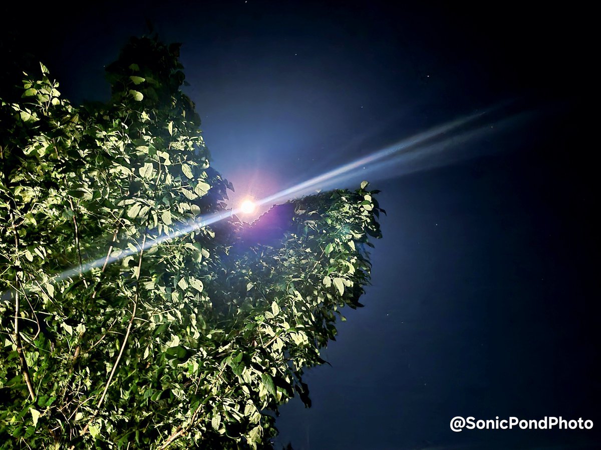 SonicPondPhoto's tweet photo. Last nights' moon https://t.co/6VcHNCZbJD
