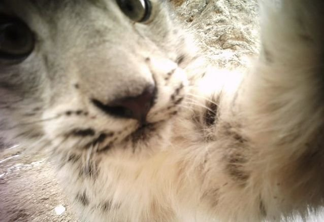 catgirlashx_x's tweet photo. haiii :3 https://t.co/br5jO7GEei