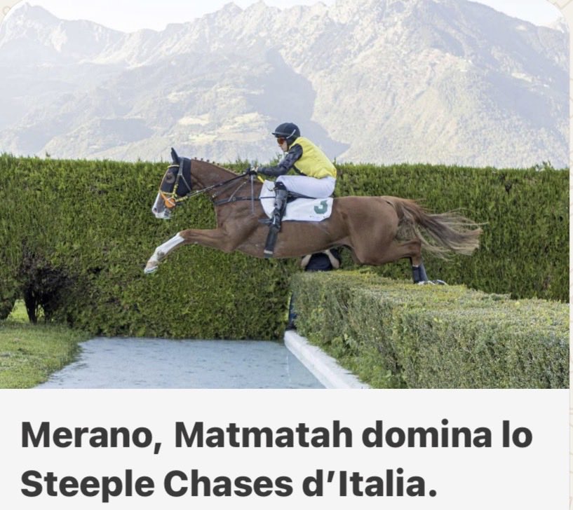 haieneuve's tweet photo. #BANDE
🥇MATMATAH by #BANDE - LA PLEINE LUNE wins Steeple-Chase d’Italie at Merano
Congrats to all connections
https://t.co/UdRoVZoNur https://t.co/X6BCzgeIZv