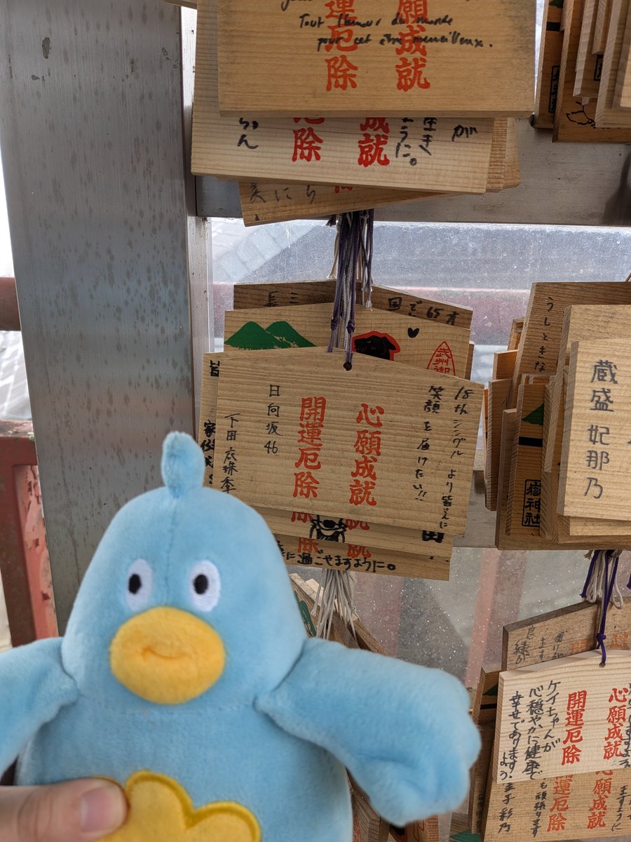 mino_191219's tweet photo. 〜 18th Singleヒット祈願 〜
🗓 R8/09/27(日)☁ 
📍武蔵御嶽神社（むさしみたけじんじゃ）

お賽銭をし、ヒット祈願をしてきました！
メンバー全員の絵馬、ありました🫡ﾋﾞｼ!!
是非、行ってみてください！！！

#日向坂46 #日向坂46_イチャイチャ虫
#日向坂で会いましょう 
#下田衣珠季 #いずきち https://t.co/WS6ZLCkIhh
