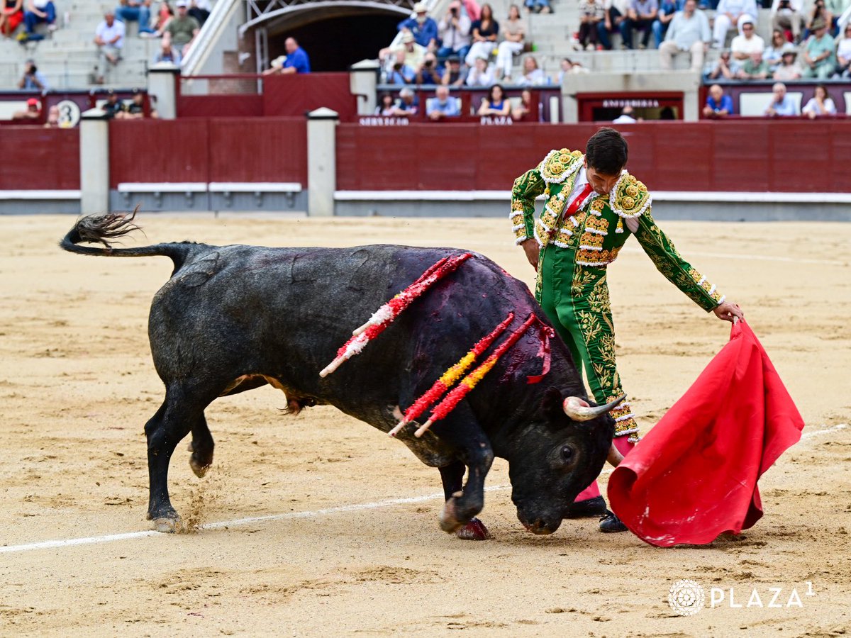 LasVentas's tweet photo. 1️⃣| 𝗢𝗿𝗲𝗷𝗮 para 𝗝𝗢𝗦𝗘́ 𝗖𝗔𝗥𝗟𝗢𝗦 𝗩𝗘𝗡𝗘𝗚𝗔𝗦. Silencio para el de 𝙎𝙖𝙡𝙩𝙞𝙡𝙡𝙤.
#LasVentas https://t.co/cM9DIDGJxZ