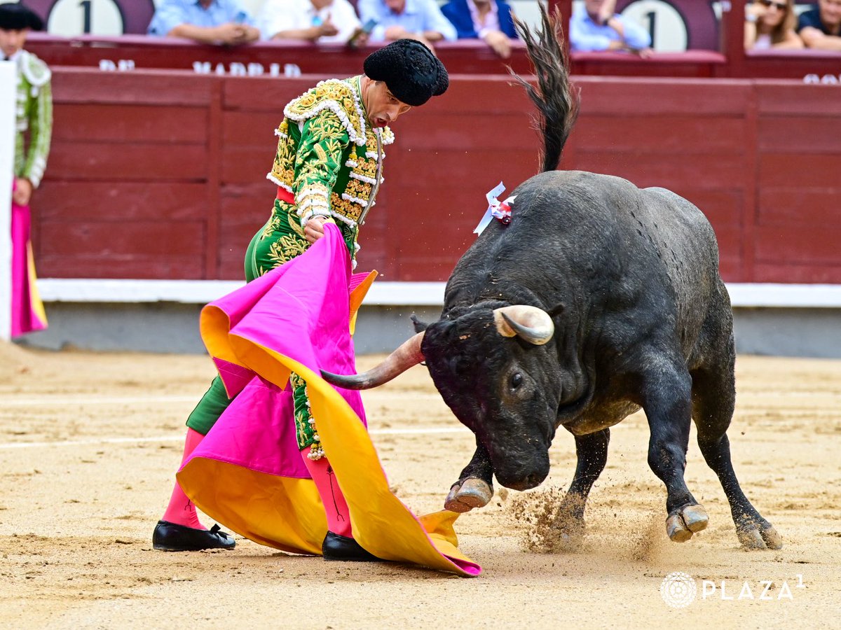 LasVentas's tweet photo. 1️⃣| 𝗢𝗿𝗲𝗷𝗮 para 𝗝𝗢𝗦𝗘́ 𝗖𝗔𝗥𝗟𝗢𝗦 𝗩𝗘𝗡𝗘𝗚𝗔𝗦. Silencio para el de 𝙎𝙖𝙡𝙩𝙞𝙡𝙡𝙤.
#LasVentas https://t.co/cM9DIDGJxZ