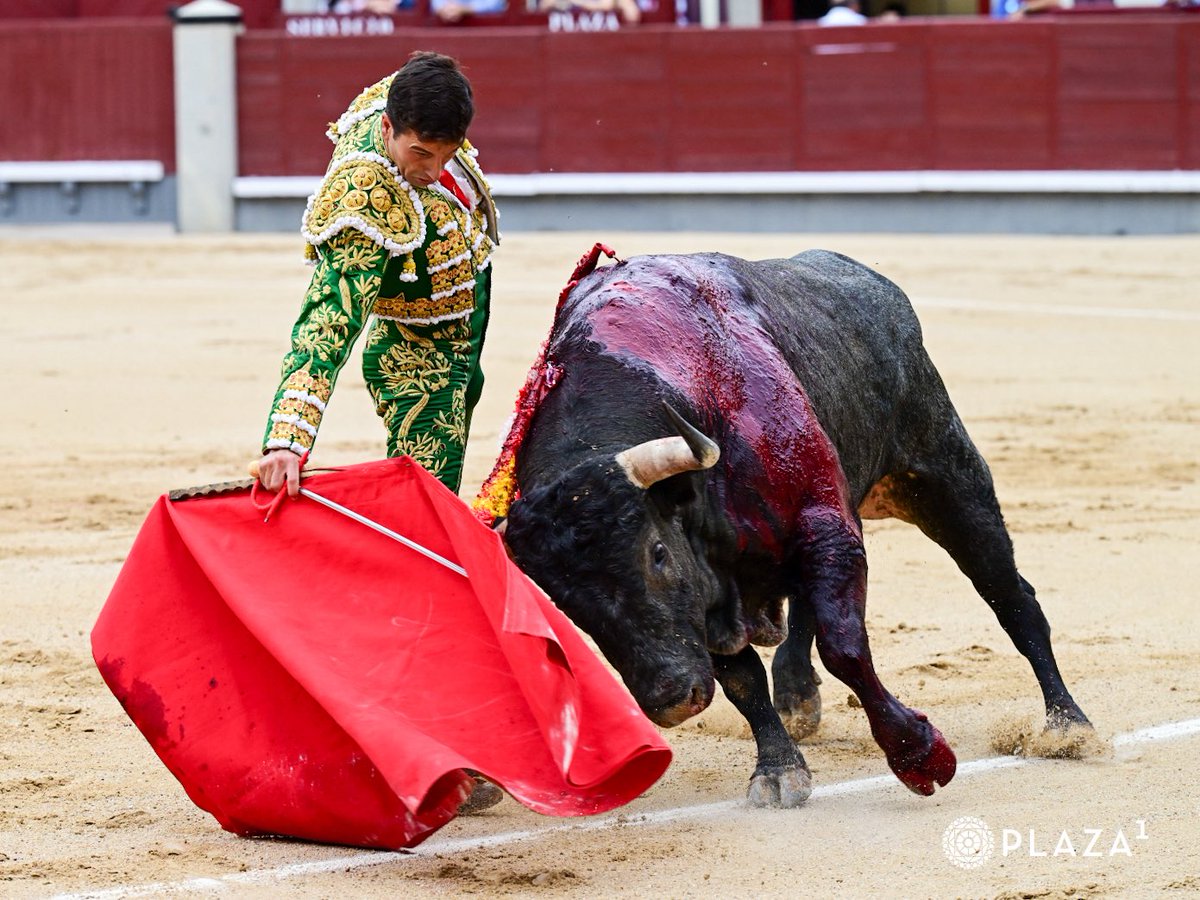 LasVentas's tweet photo. 1️⃣| 𝗢𝗿𝗲𝗷𝗮 para 𝗝𝗢𝗦𝗘́ 𝗖𝗔𝗥𝗟𝗢𝗦 𝗩𝗘𝗡𝗘𝗚𝗔𝗦. Silencio para el de 𝙎𝙖𝙡𝙩𝙞𝙡𝙡𝙤.
#LasVentas https://t.co/cM9DIDGJxZ