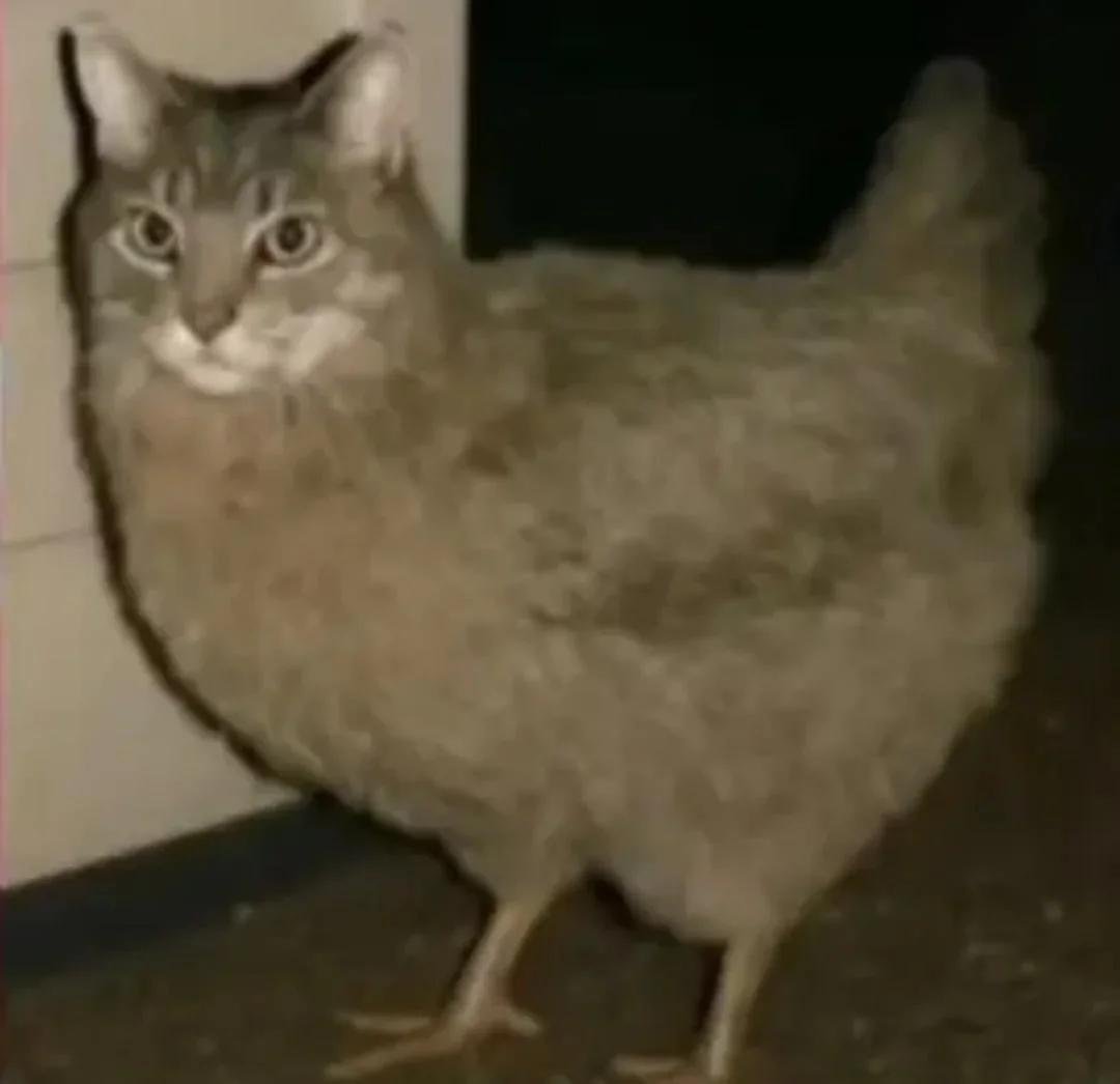 TubbaGX6's tweet photo. Efectivamente, cuando apenas empezaba en la otra cuenta y ponía meta de likes y no se cumplían está era la cuenta que daba likes https://t.co/M2IQzKAjPa