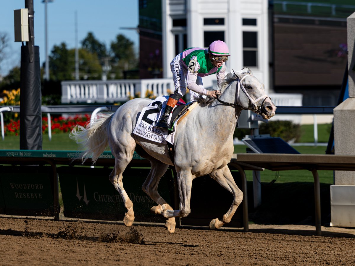 agentes305's tweet photo. DRAGOON GUARD
(5yoH Arrogate)

Winner: Lukas Classic G2
09-26-2026 - Churchill Downs
107 Beyer Speed Figure (Career Best)

J: @Tyler_Gaff  
T: @bradcoxracing  
O/B: @JuddmonteFarms 

Photos: @mmae_photos  Agentes 305 https://t.co/bLLU2qra1q