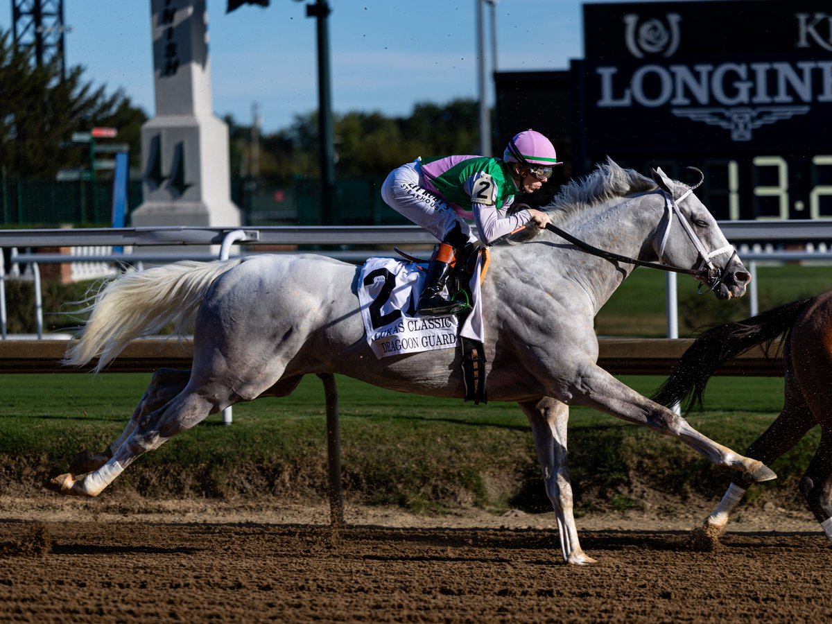 agentes305's tweet photo. DRAGOON GUARD
(5yoH Arrogate)

Winner: Lukas Classic G2
09-26-2026 - Churchill Downs
107 Beyer Speed Figure (Career Best)

J: @Tyler_Gaff  
T: @bradcoxracing  
O/B: @JuddmonteFarms 

Photos: @mmae_photos  Agentes 305 https://t.co/bLLU2qra1q