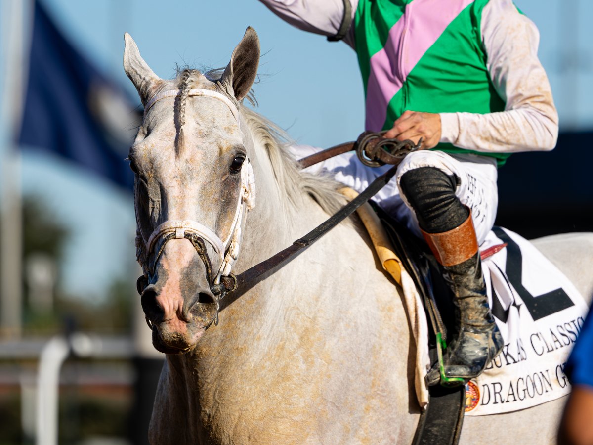 agentes305's tweet photo. DRAGOON GUARD
(5yoH Arrogate)

Winner: Lukas Classic G2
09-26-2026 - Churchill Downs
107 Beyer Speed Figure (Career Best)

J: @Tyler_Gaff  
T: @bradcoxracing  
O/B: @JuddmonteFarms 

Photos: @mmae_photos  Agentes 305 https://t.co/bLLU2qra1q